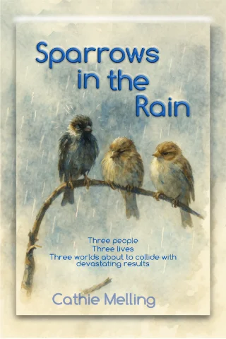 Cover of Sparrows in the Rain