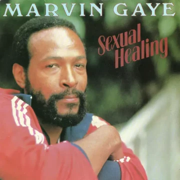 Marvin Gaye disc Cover